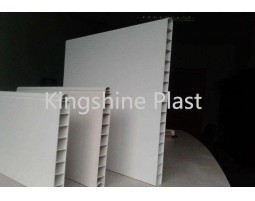 WPC PVC Door Panel Production extrusion  line